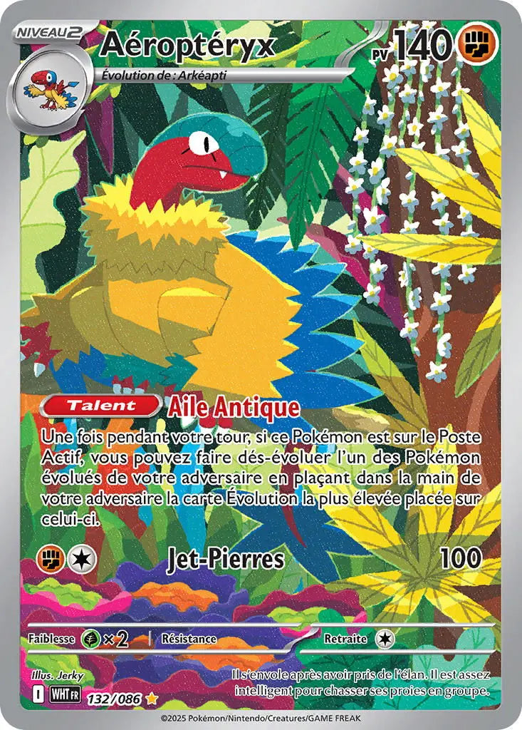 Aéroptéryx 132/86 OSMO CARDS