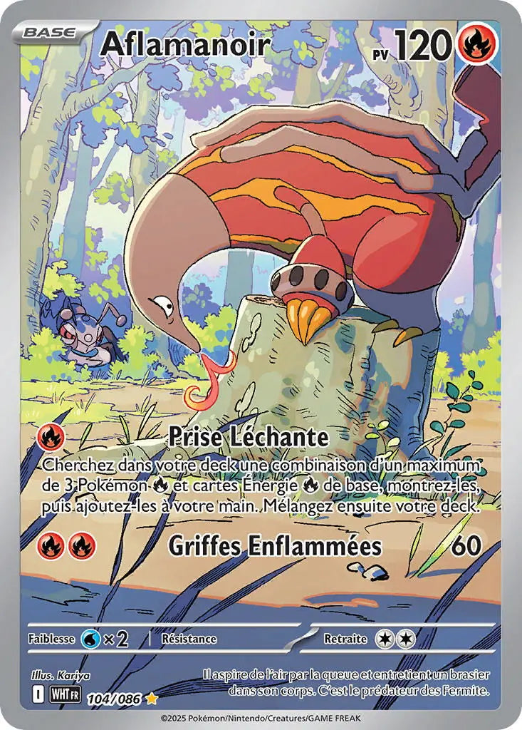 Aflamanoir 104/86 OSMO CARDS