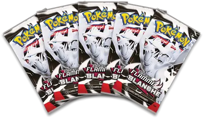 Coffret Collection Classeur - Flamme Blanche - EV10.5 OSMO CARDS