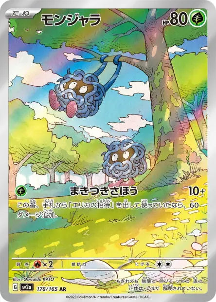 Saquedeneu 178/165 OSMO CARDS