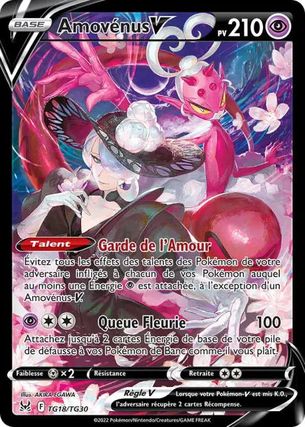 Amovénus-V TG18 OSMO CARDS