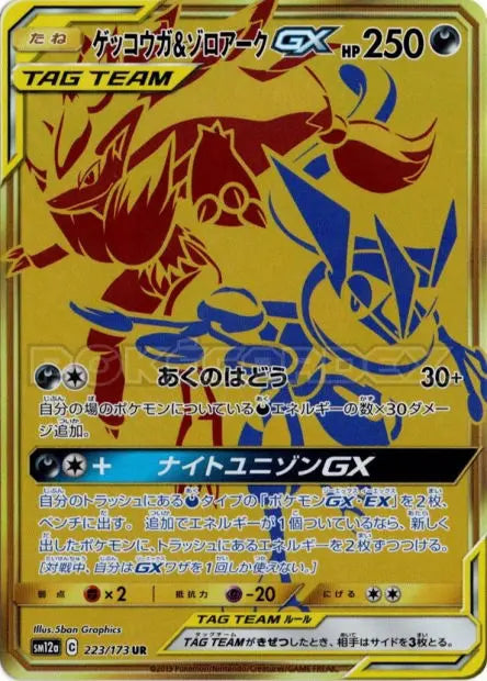 Amphinobi et Zoroark-GX 223/173 OSMO CARDS