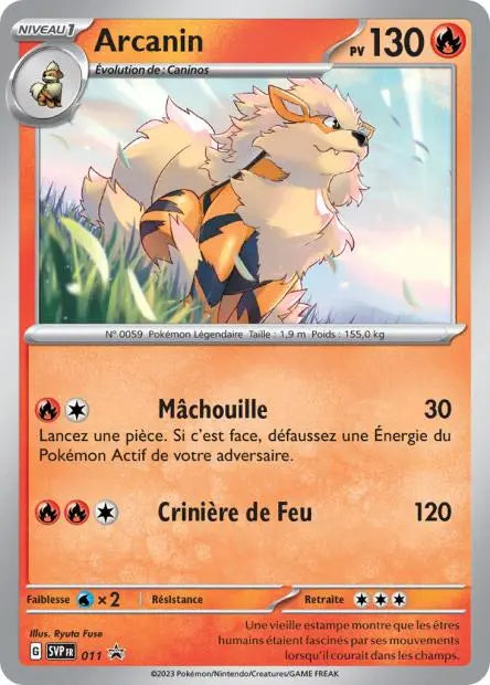 Arcanin 011 OSMO CARDS