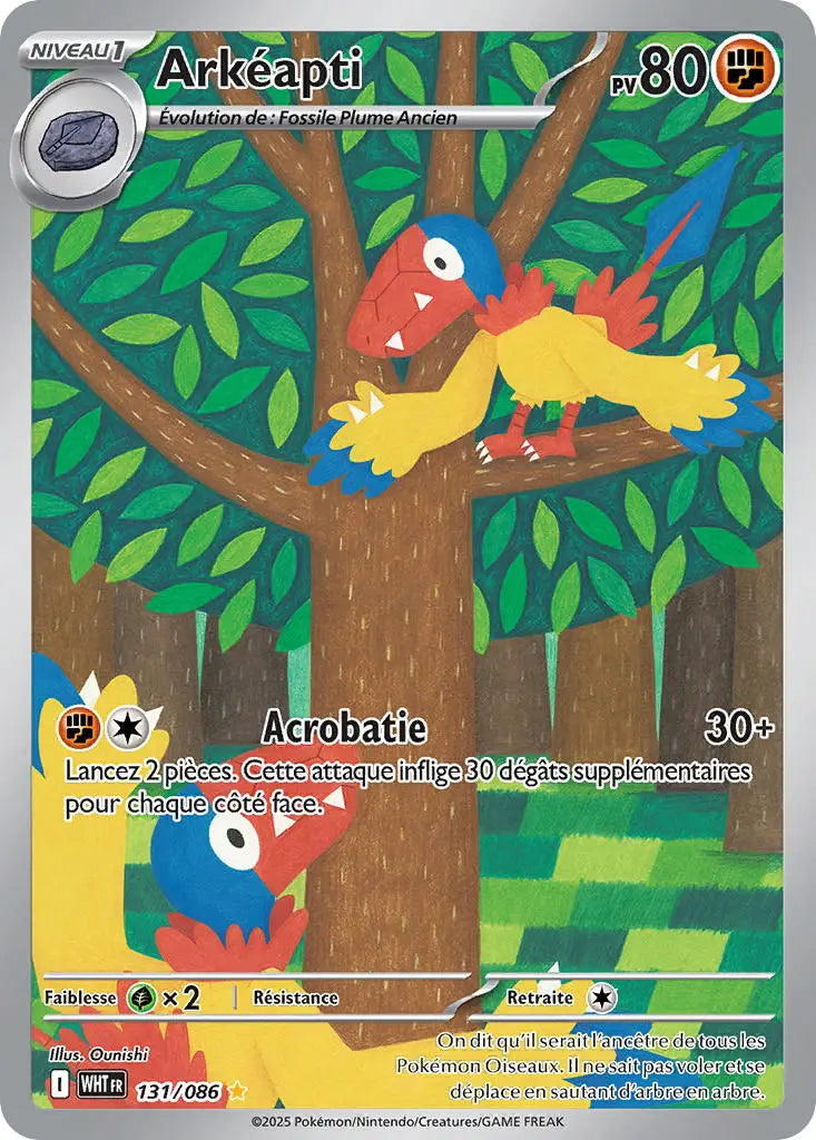Arkéapti 131/86 OSMO CARDS