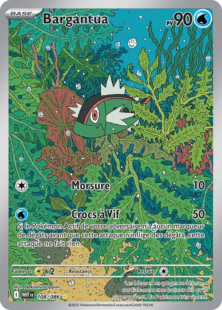 Bargantua 108/86 OSMO CARDS