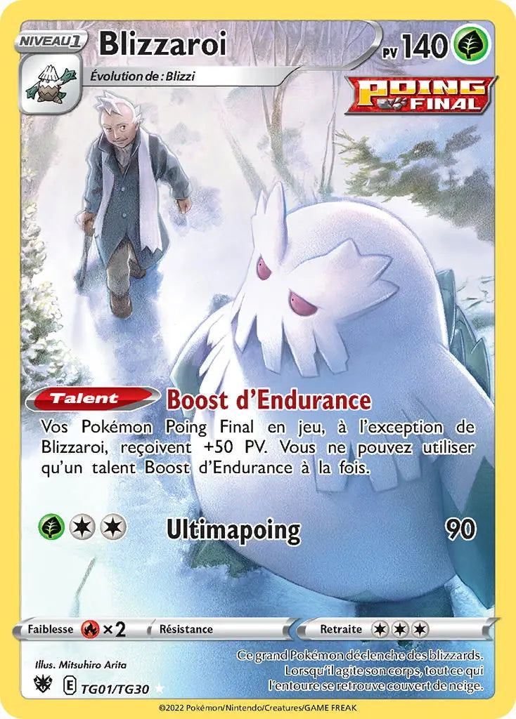 Blizzaroi TG01 OSMO CARDS