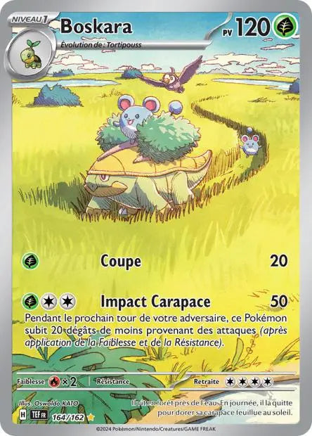Boskara 164/162 OSMO CARDS