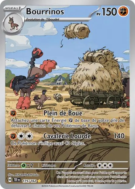 Bourrinos 175/162 OSMO CARDS
