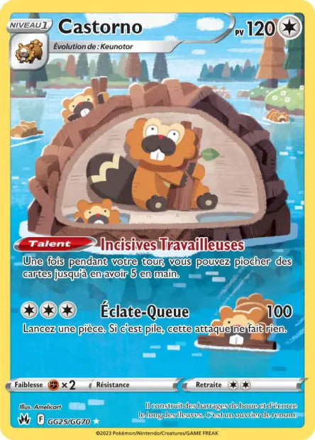 Castorno GG25 OSMO CARDS