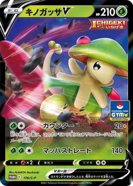 Chapignon-V 176/S-P OSMO CARDS