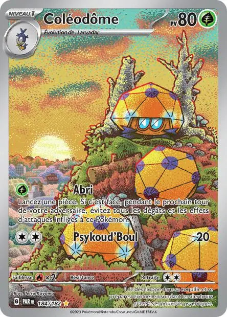 Coléodôme 184/182 OSMO CARDS