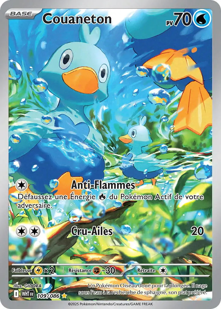 Couaneton 109/86 OSMO CARDS
