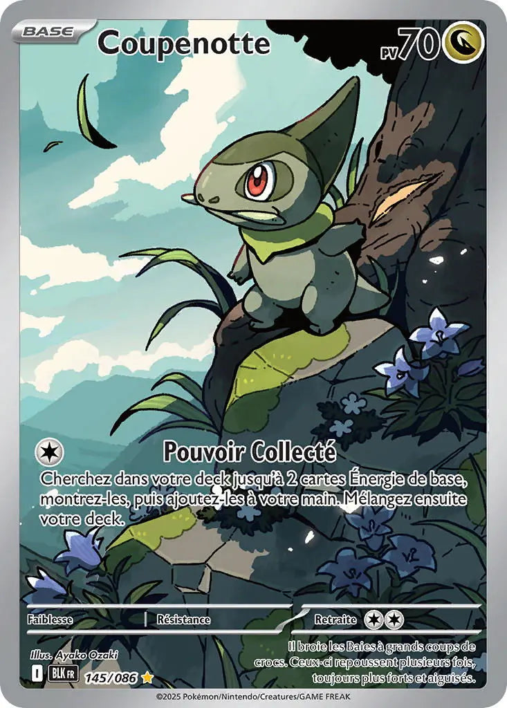 Coupenotte 145/86 OSMO CARDS