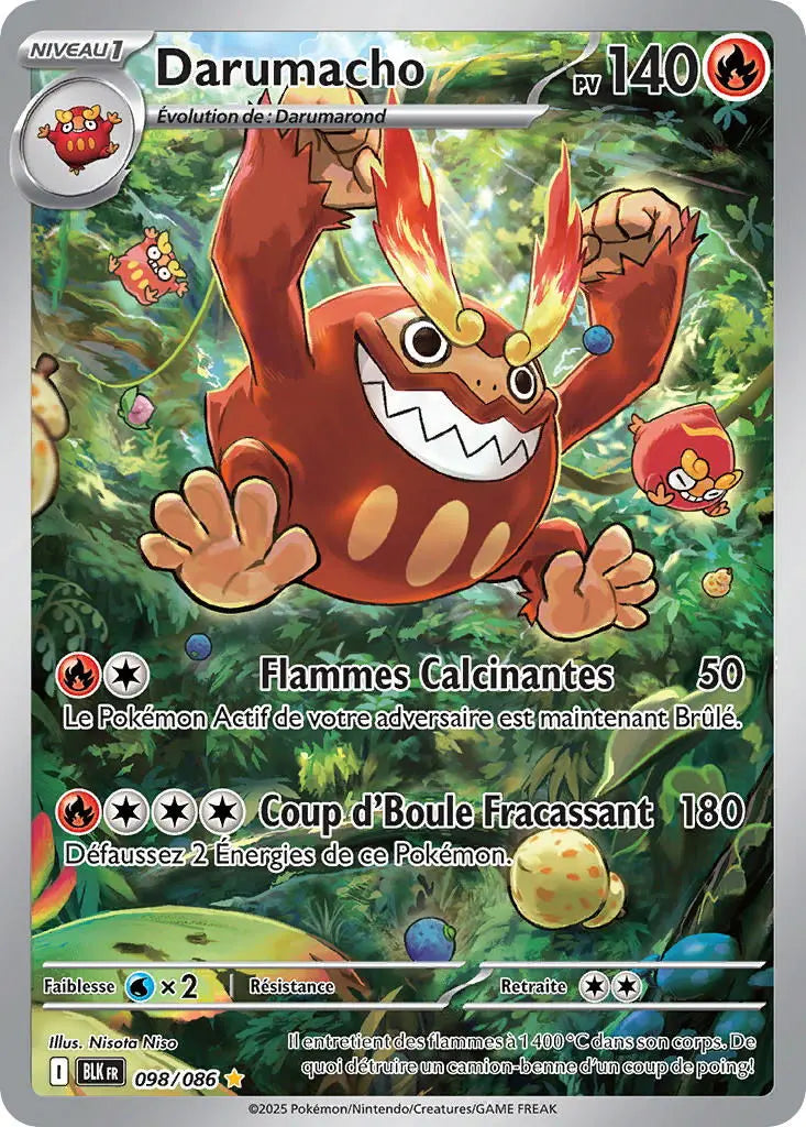 Darumacho 98/86 OSMO CARDS