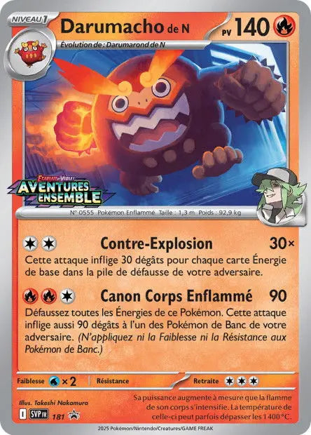 Darumacho de N 181 OSMO CARDS