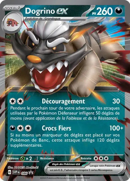 Dogrino ex 086 OSMO CARDS