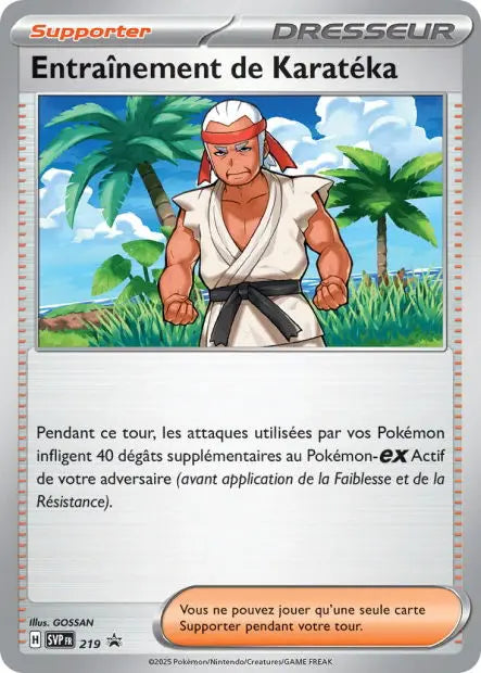 Entraînement de Karatéka 219 OSMO CARDS