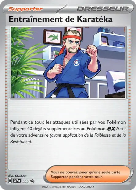 Entraînement de Karatéka 220 OSMO CARDS