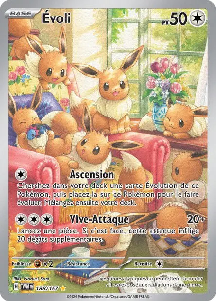 Évoli 188/167 OSMO CARDS
