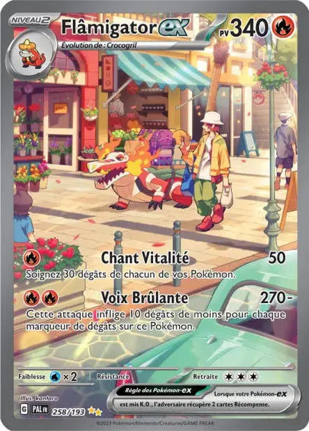 Flâmigator ex 258/193 OSMO CARDS