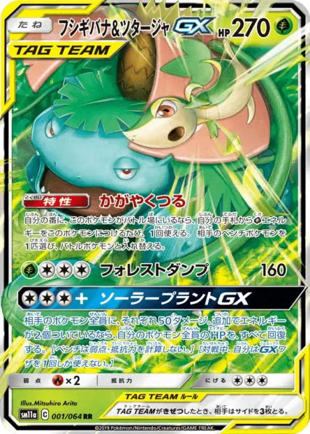 Florizarre et Vipélierre-GX 001/064 OSMO CARDS