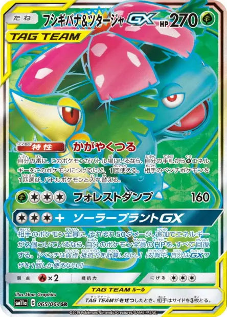 Florizarre et Vipélierre-GX 065/064 OSMO CARDS