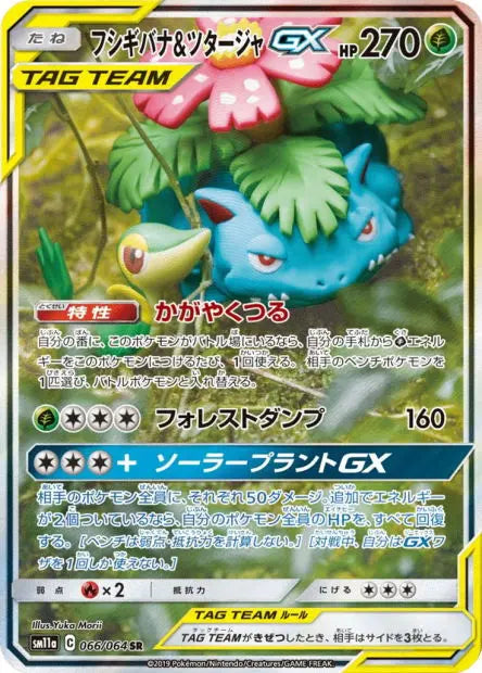 Florizarre et Vipélierre-GX 066/064 OSMO CARDS