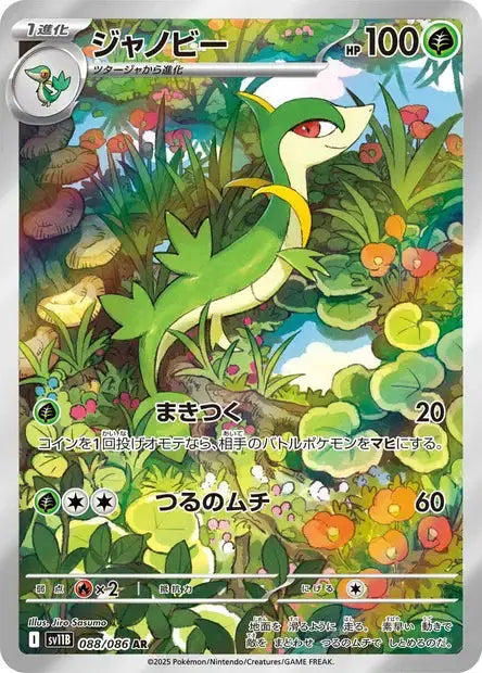Lianaja 88/86 OSMO CARDS