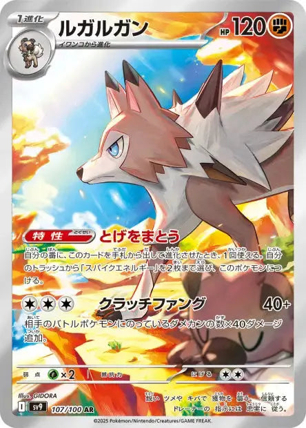 Lougaroc 107/100 OSMO CARDS