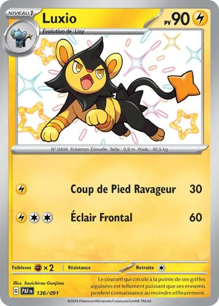 Luxio 136/91 OSMO CARDS