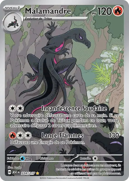 Malamandre 224/217 OSMO CARDS