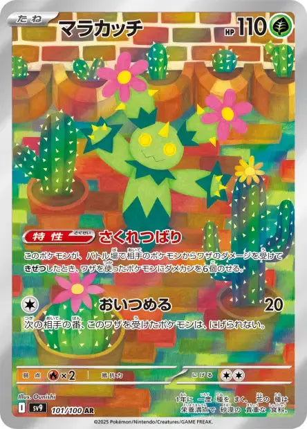 Maracachi 101/100 OSMO CARDS