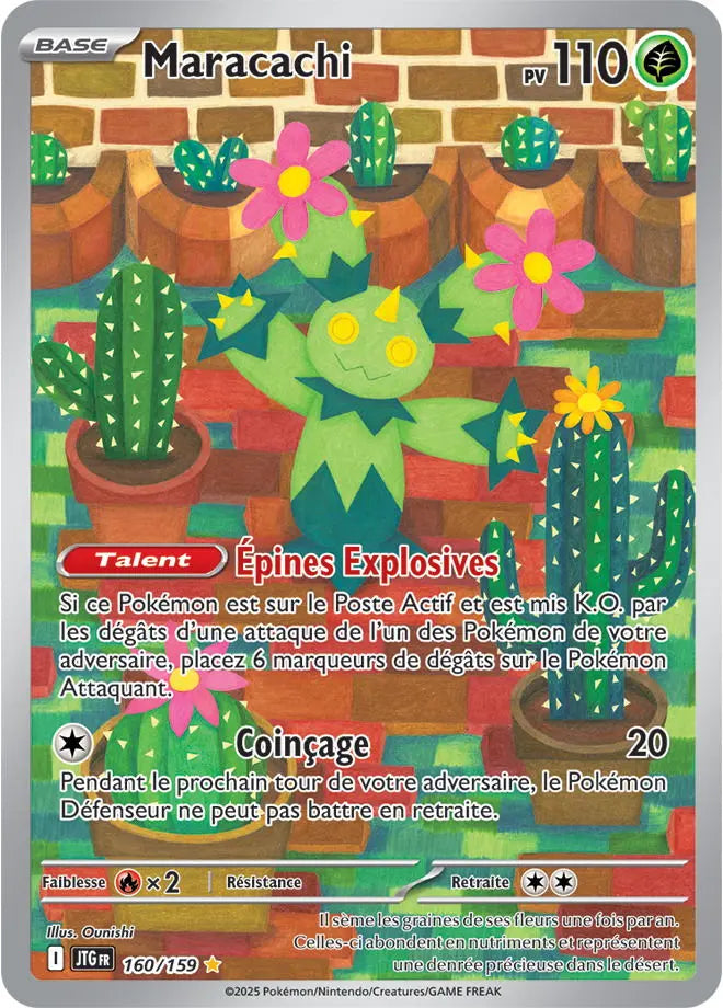 Maracachi 160/159 OSMO CARDS