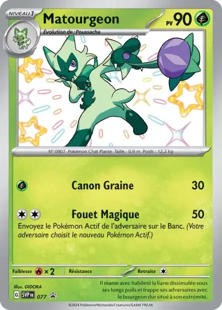 Matourgeon 077 OSMO CARDS