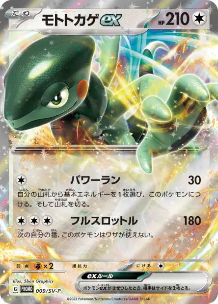 Motorizard ex 9/SV-P OSMO CARDS