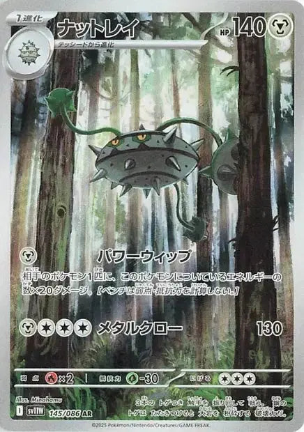 Noacier 145/86 OSMO CARDS