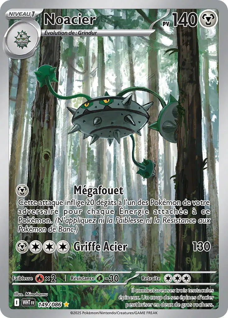 Noacier 149/86 OSMO CARDS