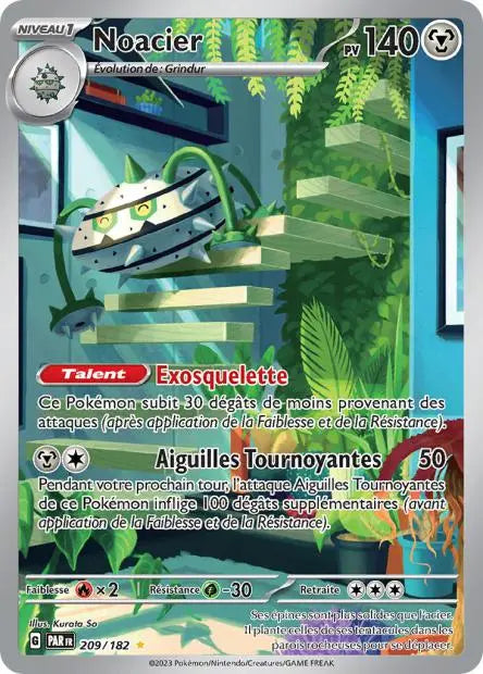 Noacier 209/182 OSMO CARDS