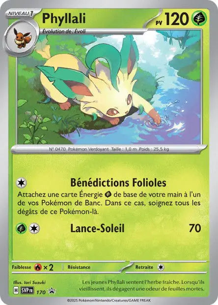 Phyllali 170 OSMO CARDS