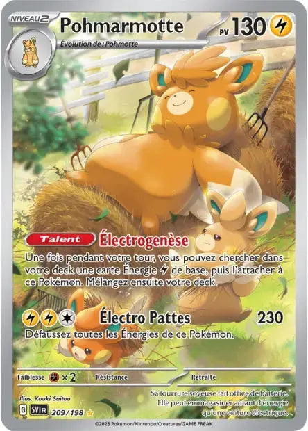Pohmarmotte 209/198 OSMO CARDS