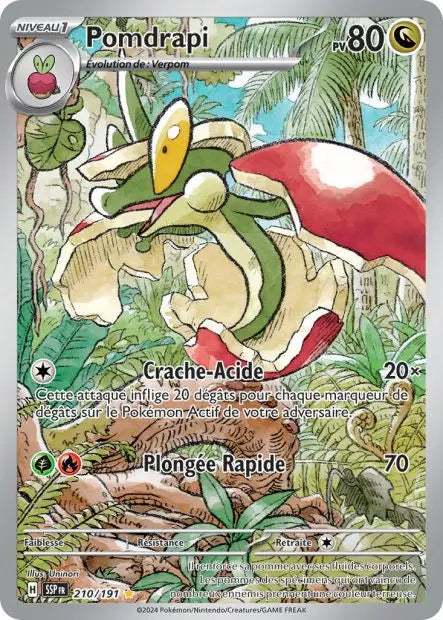 Pomdrapi 210/191 OSMO CARDS