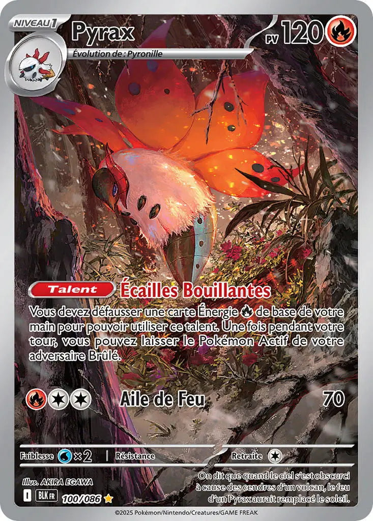 Pyrax 100/86 OSMO CARDS