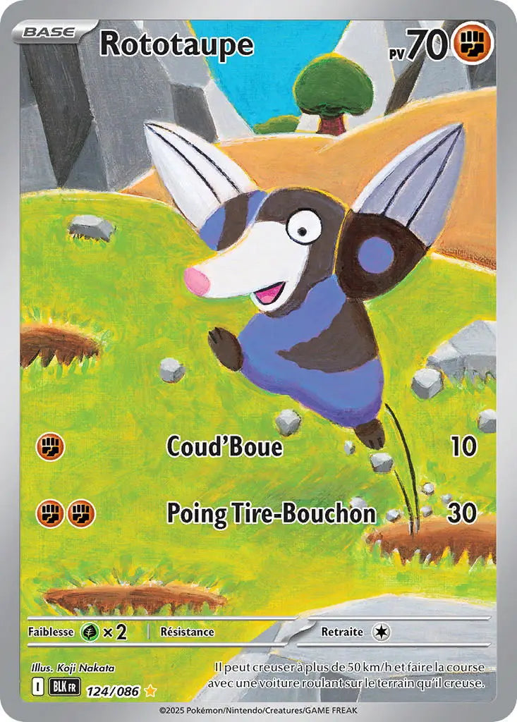 Rototaupe 124/86 OSMO CARDS