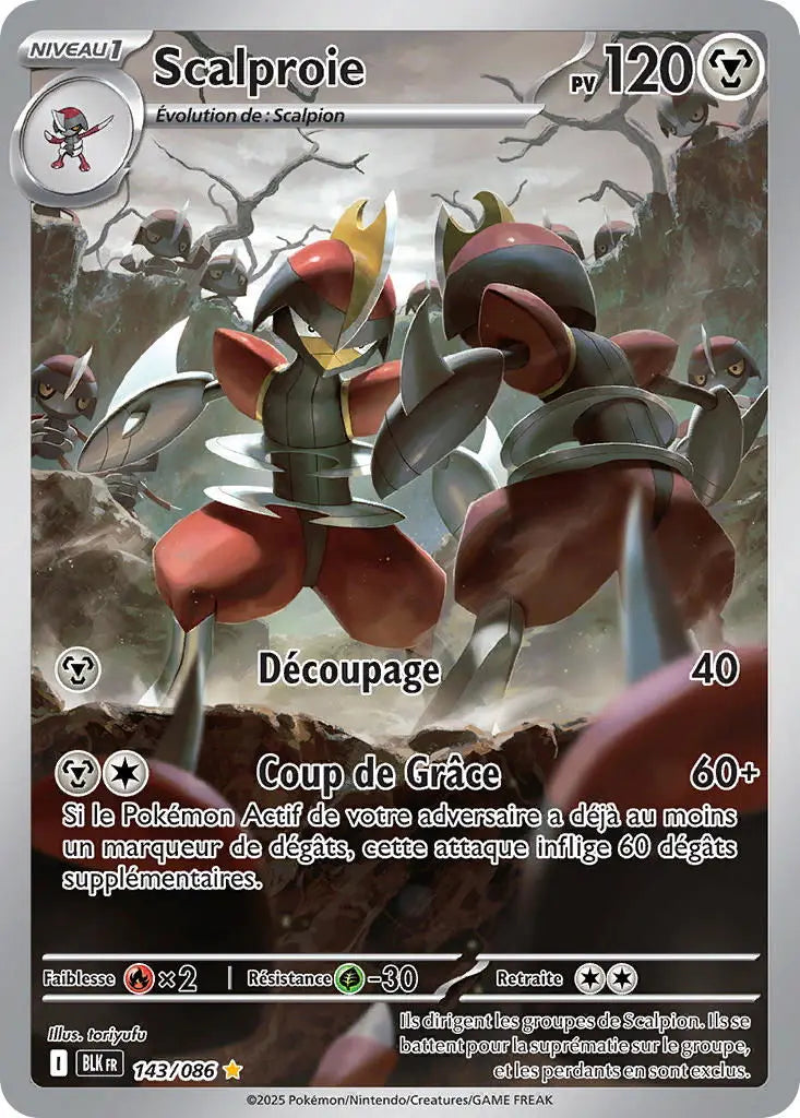 Scalproie 143/86 OSMO CARDS