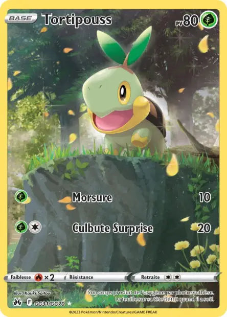 Tortipouss GG31 OSMO CARDS