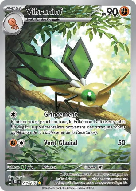 Vibraninf 206/191 OSMO CARDS